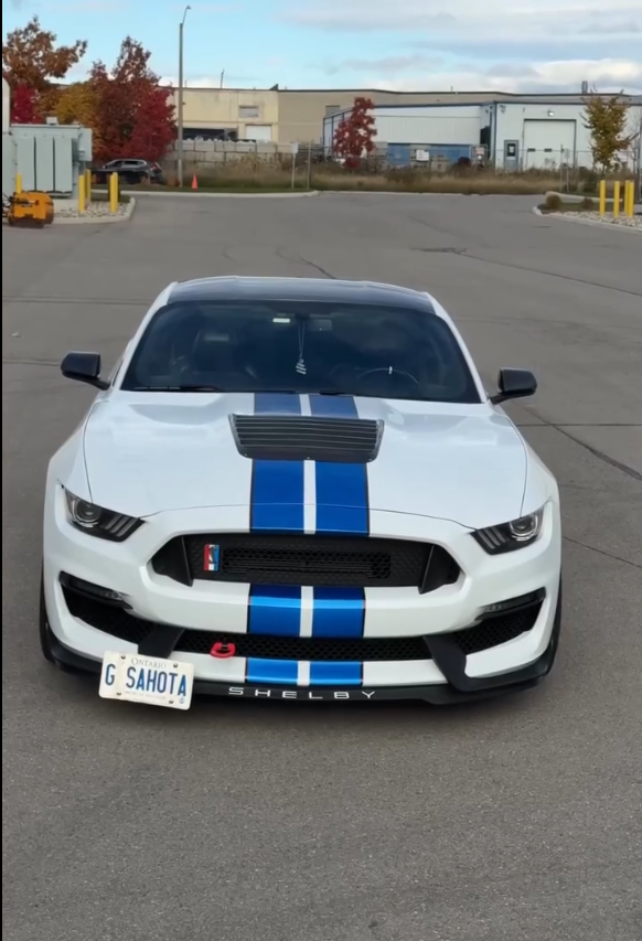 Racing Stripes